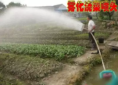 1 inch 1 2 inch 1 5 inch gasoline engine water pump Plastic watering nozzle Agricultural atomization adjustable watering vegetable sprinkler water gun