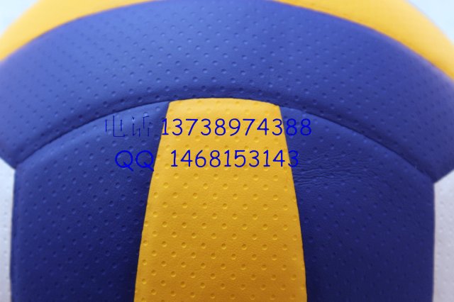 Ballon de volley - Ref 2012672 Image 9