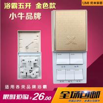 Bath heater five-way switch gold quality slide cover universal 16A ceiling dedicated five-joint bathroom Mavericks brand