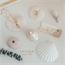 Natural coral photo props ins ins Net red manicure Korean ornaments shell conch photography props