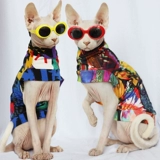 Индивидуальная сафакс безволоса