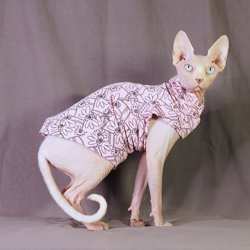 Custom Sphinx pet cat clothes spring and autumn sweater terry fabric Pure cotton hairless cat special line cat clothes