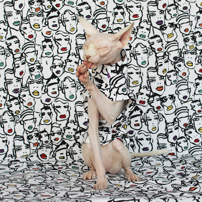 Custom Sphinx anti-off pure cotton spring, summer and autumn brand cat clothes line cat clothes Tide brand thin hairless cat special