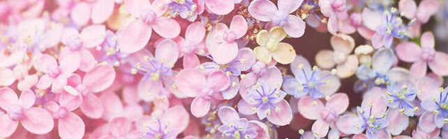 Accessoire coiffure en Fluid Systems - Ref 1202873 Image 3