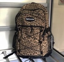 2020 new nightlovesalt shoulder bag Korean edition travel BAO WEN large capacity male and female students endorsement bag