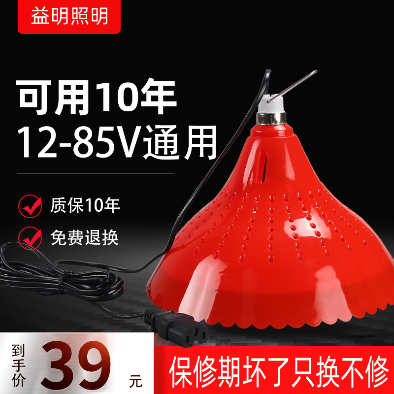 12V Fresh Light Low Pressure Battery 48v Night Market Stall 60v Cooked Food Halibut Fruit Pork Lamp Lighting Red Light