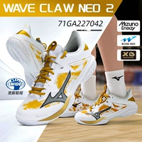 71GA227042 Dragon Nian Limited [Neo 2]