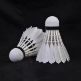 Бесплатная доставка RSL Азиатская драконская бадминтон.