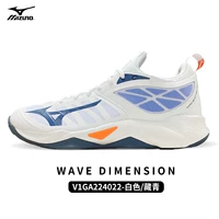 V1GA224022 Белый/Тибетский Цин