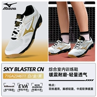 611-платиновый черный [SF Express бесплатная доставка]