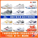 Mizuno, волейбольная комплексная амортизирующая спортивная обувь подходит для мужчин и женщин для бадминтона