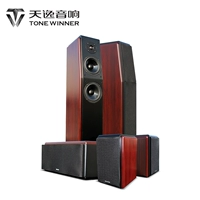 Winner/天逸 Tong Di № 5 TD-5 Высокий бумажный AV-динамик с пятью частями Home Hifi Set Audio