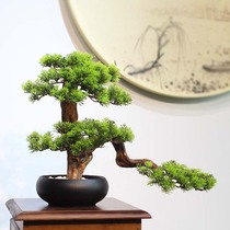 Simulation welcome pine bonsai decoration Living room entrance Hotel home soft decoration New Chinese model room micro-landscape