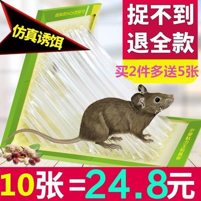 Xizi 8 pieces of mouse stick sticky mouse board Sticky force king mouse exterminator Mouse glue drug drive mouse clip cage Household mousetrap