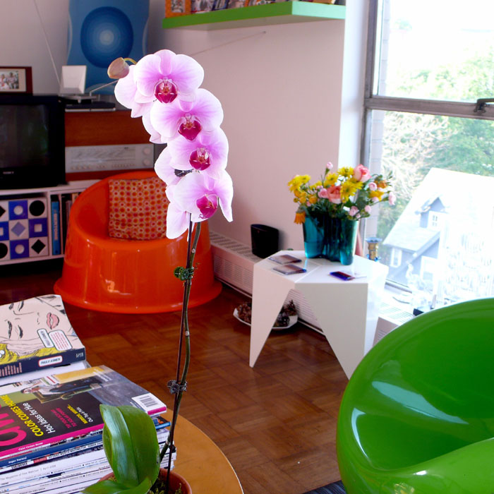 ����ɭ��Լ�輸HOXNE-CF04