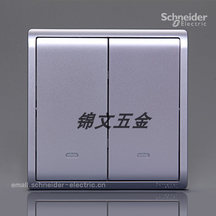 Schneider Fonchon Series Lavender Silver silver E8232L2F_LS Two-position double cut switch