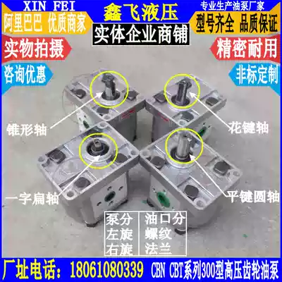CBN-E312 E314 E316 E310 E308 E306 E304 E320 E325 E318 gear pump