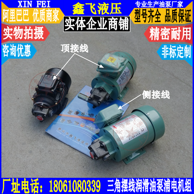 RHB-2 5 1 1 6 1 5 3 15 4 cycloid oil pump motor motor set 120W 380V lubrication pump JZ