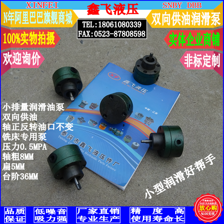 SNBY0 84 0 5 Two-way lubrication pump DBB-1 multi-piece reversible cycloid oil pump 20 Lanxi milling bed pump