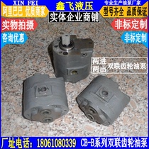 DLCB-B2 5 2 5 double pump CB low pressure double gear oil pump two in two out oil supply lubrication pump