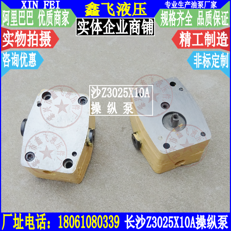 Changsha City Rocker Drilling Machine 24 Pump Z3025 Manipulation Pump X10A Lube Pump Gear Oil Pump Accessories