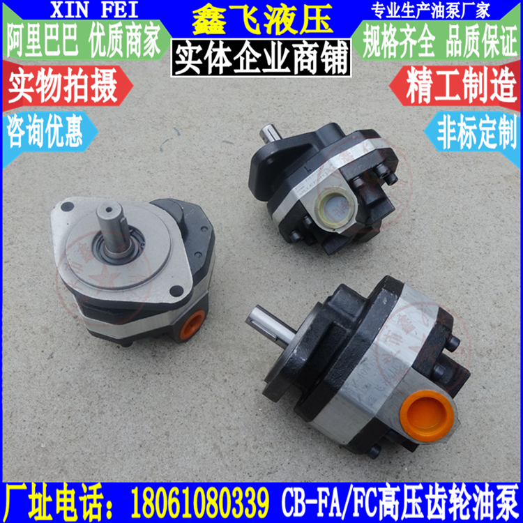 CB FC10 FC16 FC20 FC25 FC31 5 FC40 FC50 FC50 gear oil pump FL FA18 FA32