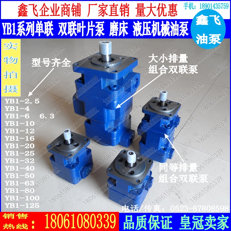 Vane pump YB1-10 6 4 6 3 12 16 25 32 40 50 63 80 100 oil pump single double