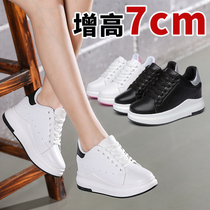 Inner height-increasing sports shoes womens winter 2019 new Korean version of the student autumn casual wild muffin thick-soled white shoes