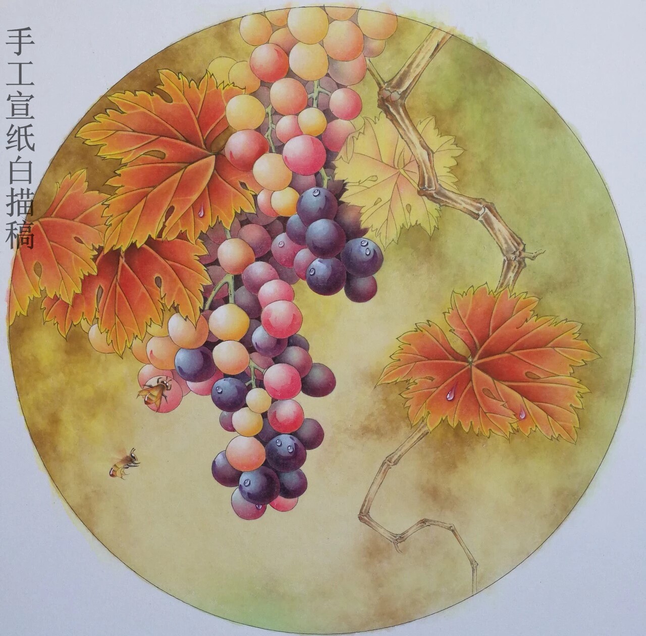 Gongbi painting basic entry draft White sketch manual rice paper sketch sketch Grape 03 Any three pictures