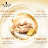 Schwarzkopf, шампунь с имбирем, кондиционер подходит для вьющихся волос, комплект, контроль жирного блеска, удаление перхоти, против зуда