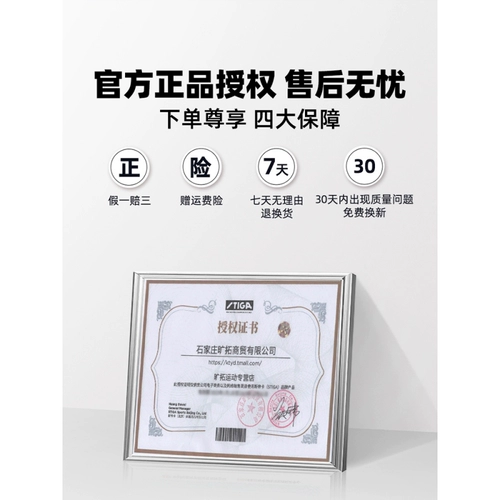 Stiga/斯帝卡 Обувь для настольного тенниса подходит для мужчин и женщин, летняя износостойкая спортивная обувь