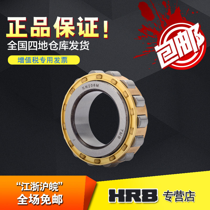 TMB Tianma Bearing RN206 M 502206 H BW BWY Cycloid reducer bearing Eccentric shaft