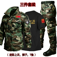 T021 苁 苁 (с флагом) +603 черный