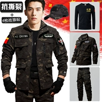 Серый камуфляж + наклейки с изображением военного 𢧐 волка 4 шт. + 803 черная футболка + шапка