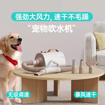 LAIKA pet hair dryer dog hair dryer high-power medium and large dog bathing drying and hair blowing artifact