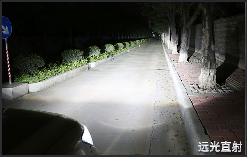 D8S Mustang Harvard H9 BX7 New Brown Wilon Porsche Cayenne D8s hernia lights xenon lamp