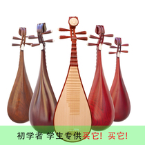 Shengle children Adult pipa Adult musical instrument beginner Hardwood mahogany Professional playing grade pipa