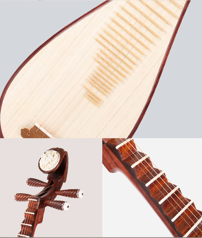 Shengle Zhang Yanxiu Blood Sandalwood Pipa Nhạc cụ C919-A dành cho người lớn Pipa chuyên nghiệp Chơi Blood Sandalwood Pipa - Nhạc cụ dân tộc
