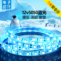 LED ice blue 12 volt light strip 5050 soft light strip 12V ice blue light strip waterproof ocean blue outdoor rainproof highlight