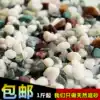 Fish tank bottom sand landscape turtle tank Small fish tank aquarium color set original ecological stone 1 catty