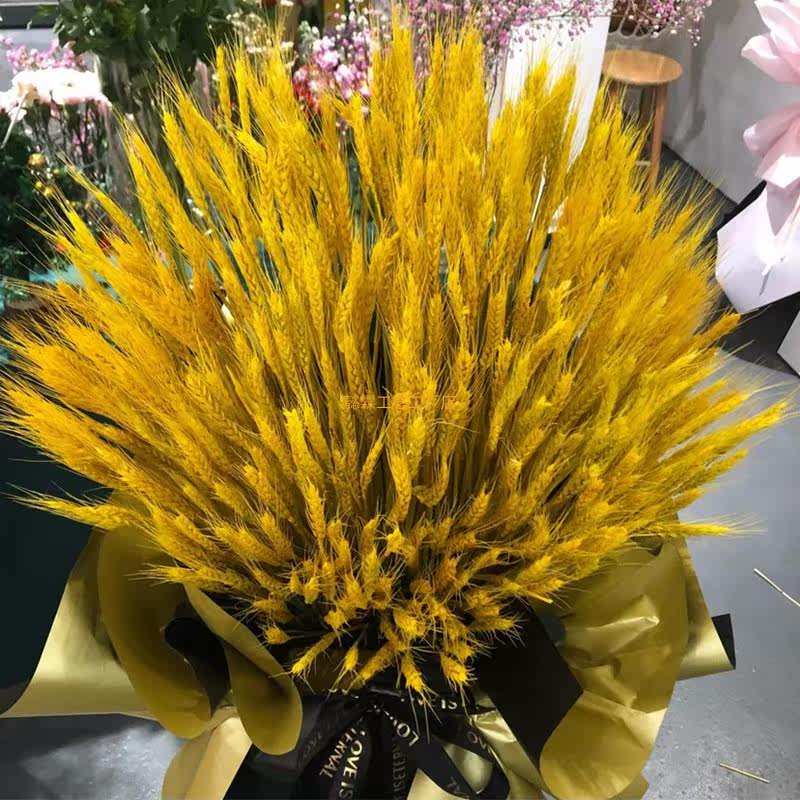 Natural New Yuda Blessing Opening Dry Flower Fittings Household Vase Decoration Photography and Flower Bouquet