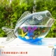 Среднее звание морского синего стеклянного песка
