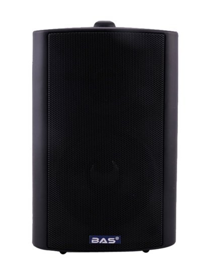 德国BAS 30W壁挂音箱 专业音响 会议喇叭 背景音乐  LWB-115B