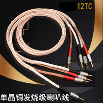 12TC monocrystalline copper fever grade HIFI horn line Main sound line HIFI line sound box line power amplifier connection line