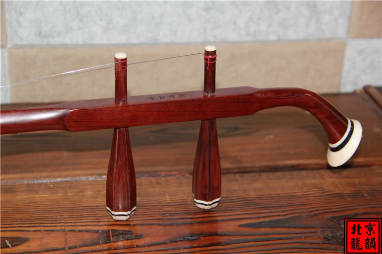 Longyun Erhu Nhạc cụ Nhà máy Cửa hàng Fine Rosewood Erhu Số 09b100 - Nhạc cụ dân tộc