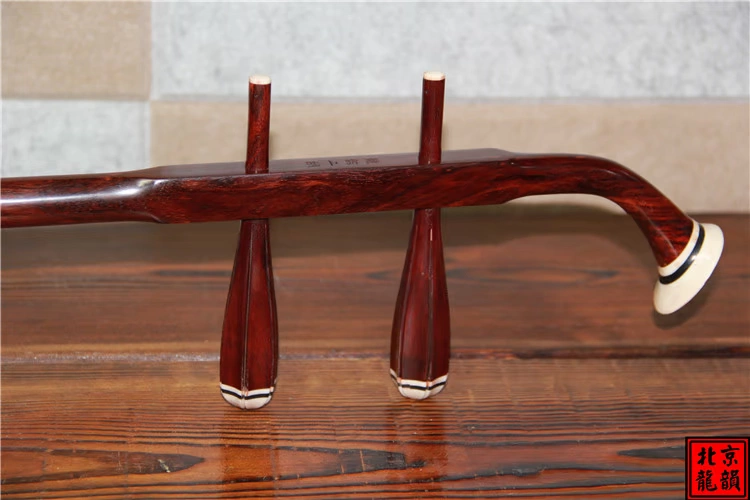 National Erhu Nhạc cụ Long Yun Factory Outlet Fine Rosewood Erhu Số Youb09b12 - Nhạc cụ dân tộc