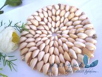 ★Shells★Natural Sea Snail Shells Small Cups Cushion Cutlery Mat Cutlery Mat Pendulum