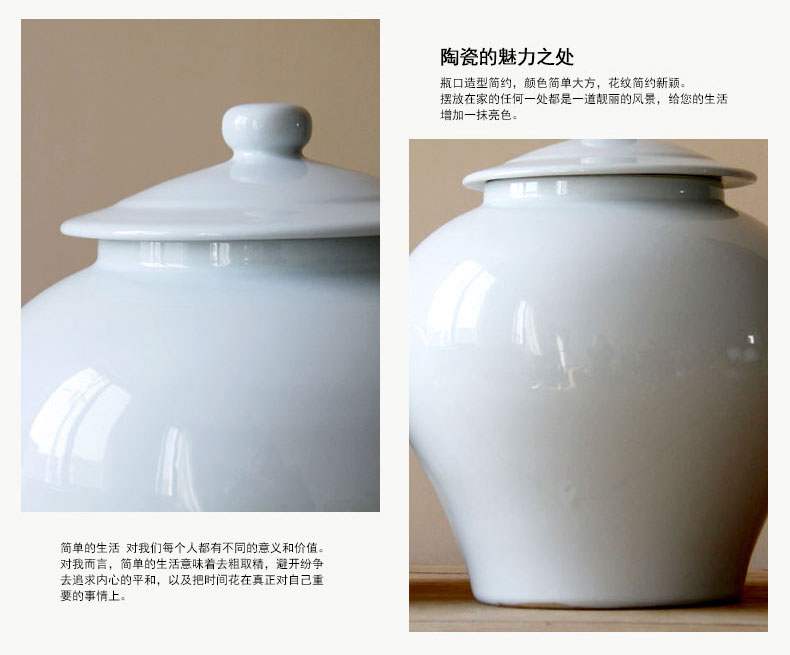 Opens to booking a soft outfit domestic act the role ofing single type of jingdezhen ceramics glaze white contracted and I adornment is placed ceramic pot