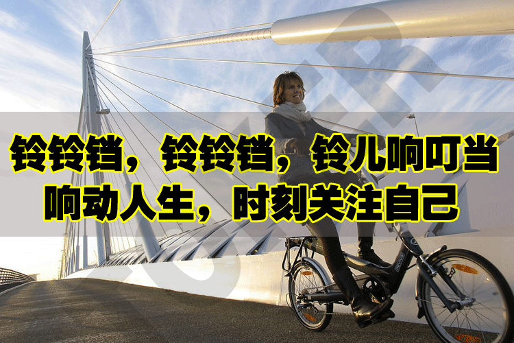 Sonnette de vélo bell Compass TOKER - Ref 1456164 Image 11