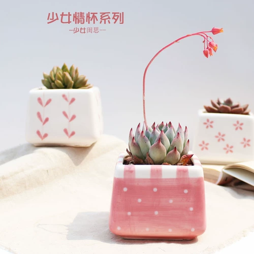 Taobao Hot, продавая розовую девушку сердечную серию.